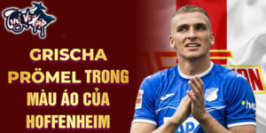 Grischa Prömel trong màu áo của Hoffenheim 