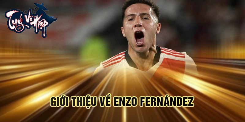 Giới thiệu về Enzo Fernández